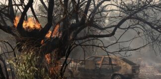 Φωτιά στη Βλυχάδα: Έχουν καεί σπίτια, σβήνουμε μόνοι μας τα «καντηλάκια»