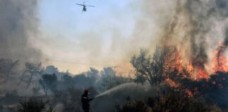 Σε δύσβατο σημείο η φωτιά στα Δερβενοχώρια – Συνεχίζεται η μάχη με τις φλόγες κοντά στη Στεφάνη