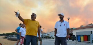 Μάχη με τις αναζωπυρώσεις σε Μαγνησία