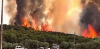 «Γινόταν το απόλυτο χάος – Τα πάντα φλέγονταν, ο κόσμος είχε πανικοβληθεί»