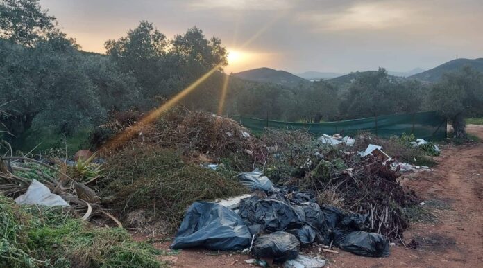 Screenshot_20230727_110407_Photos