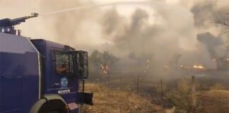 Οι Αίαντες της ΕΛ.ΑΣ. στο μέτωπο της Μάνδρας (βίντεο)
