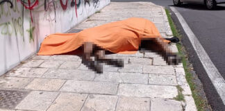 Στην αντεπίθεση ο ιδιοκτήτης του αλόγου που έσερνε άμαξα και πέθανε – «Έλεγαν ψέματα»