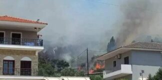 Συνελήφθησαν δυο παιδιά που κατηγορούνται για εμπρησμό