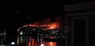 Φωτιά στην Εύβοια: Ξεφεύγει το μέτωπο στο Αλιβέρι – Βίντεο και φωτογραφίες