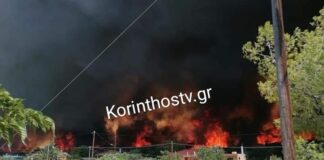 Φωτιά στο Λουτράκι: Καίει 50 μέτρα μακριά από σπίτια, μαίνεται ανεξέλεγκτο το «πύρινο μέτωπο»