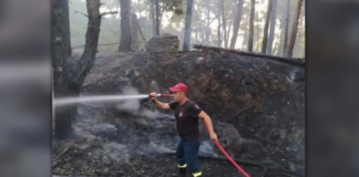 «Αυτό δεν το έχω ξαναδεί»