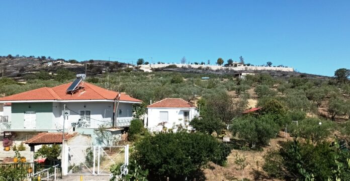 ΣΕΣΚΛΟ ΦΩΤΙΑ ΚΟΝΤΑ ΣΠΙΤΙ