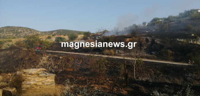 ΦΩΤΙΑ ΣΕΣΚΛΟ 3