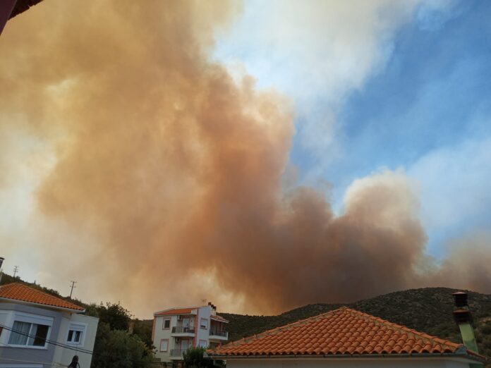 ΧΡΥΣΗ ΑΚΤΗ 4