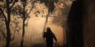 Καίει για 11η ημέρα το πύρινο μέτωπο στον Έβρο, μαίνεται η μάχη στη Δαδιά