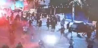 Πού στρέφονται οι έρευνες της Αστυνομίας και ο ρόλος των δυο «τσιλιαδόρων»- Διαψεύδεται πως υπάρχει βίντεο τη στιγμή της δολοφονίας του Μιχάλη Κατσουρή