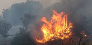 Σε 2 μέτωπα η μάχη με τη φωτιά στην Αλεξανδρούπολη – Αναζωπύρωση στη Νίψα, αντιμέτωποι με την πύρινη κόλαση οι κάτοικοι