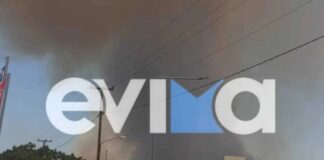 Απειλούνται σπίτια στα Ψαχνά – Μήνυμα του 112 (βίντεο)