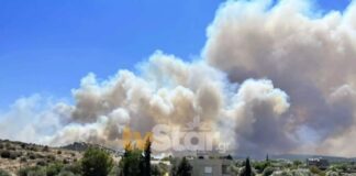 Προς Βατώνα το πύρινο μέτωπο στα Ψαχνά Ευβοίας – Σε ετοιμότητα Λιμενικό και ιδιωτικά σκάφη