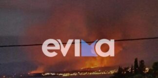 Στη μάχη της κατάσβεσης της φωτιάς στην Εύβοια και ο στρατός – «Μπορεί να πάρει καταστροφικές διαστάσεις»