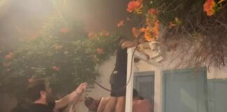 Η στιγμή που φωτιά στη Μύκονο προκαλεί μεγάλη αναστάτωση (βίντεο)