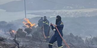 Ολονύχτια μάχη με τις φλόγες στην Άνδρο