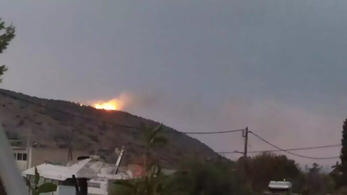 369628252_238896685797869_6300506963102867078_n