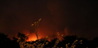Ανεξέλεγκτα τα μέτωπα της φωτιάς στη βόρεια Ελλάδα – Εκκενώθηκαν οικισμοί στην Καβάλα, καίγονται σπίτια στη Ροδόπη – Συνεχίζεται η μάχη στην Αλεξανδρούπολη