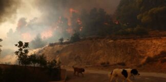 Κόλαση φωτιάς και απόκοσμες εικόνες – Βίντεο γροθιά στο στομάχι