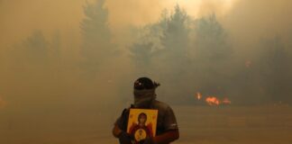 «Η πυρκαγιά πια περνάει στον νομό Ροδόπης»