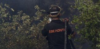 «Ανά τέταρτο και μία φωτιά στον Αυλώνα, ήταν καθαρός εμπρησμός»