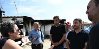 Ανδρουλάκης: Το κλειδί της αντιμετώπισης των πυρκαγιών στη χώρα μας είναι η πρόληψη