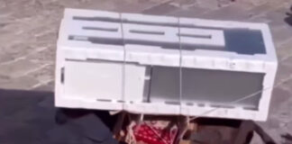 Δήμαρχος Ύδρας για το φορτωμένο γαϊδουράκι: «Γίνεται 200 χρόνια στο νησί – Δεν παραβιάζεται καμία νομοθεσία»