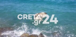 Αγελάδα βρέθηκε νεκρή στη θάλασσα