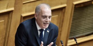 Κυριάκος Βελόπουλος: Κυβερνητικές ευθύνες για τις φωτιές