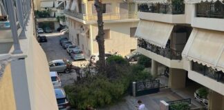 Έπεσε δέντρο σε γειτονιά – Από θαύμα γλίτωσαν περαστικοί