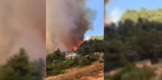 Συγκλονιστικό βίντεο με απεγκλωβισμούς κατοίκων από αστυνομικούς