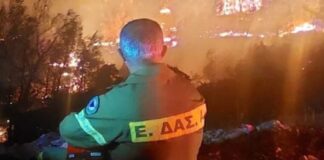 «Κάναμε ό,τι μπορούσαμε» – Γροθιά στο στομάχι η φωτογραφία εθελοντή πυροσβέστη από τις φωτιές