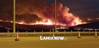 Τέσσερα διαφορετικά μέτωπα φωτιάς καίνε στη Βοιωτία (βίντεο)