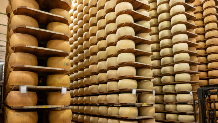 tiri_parmezana_1-scaled