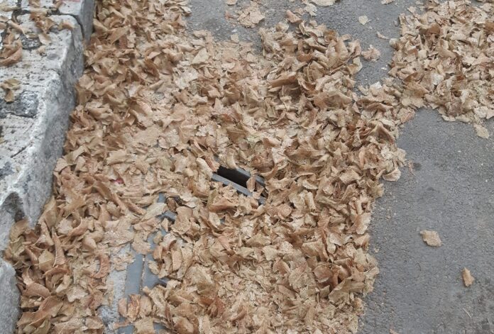 ΚΑΣΣΑΒΕΤΗ 2