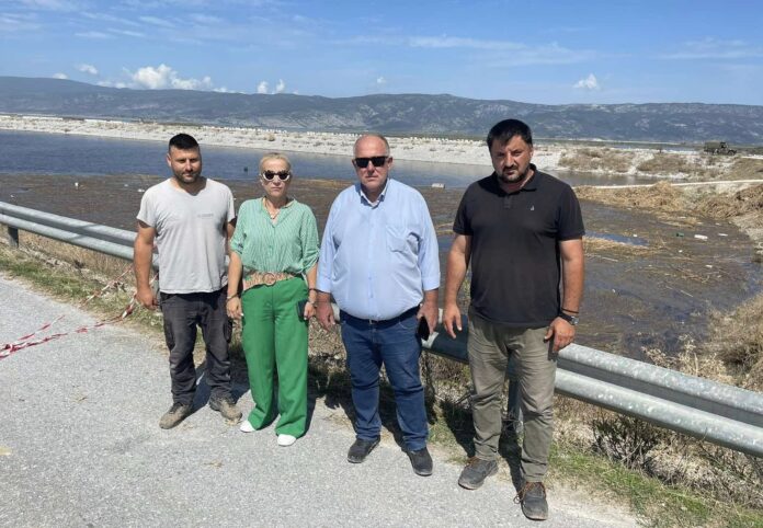 ΝΑΣΙΚΑΣ ΚΟΛΥΝΔΡΙΝΗ