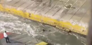 «Ο άνθρωπος πνιγόταν και τον κοιτούσαν – Πήγα στον καπετάνιο και εκείνος έκλεισε την πόρτα δεν ασχολήθηκε καν»
