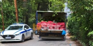 Τον πυροβόλησε για απλήρωτους τενεκέδες με λάδι – «Ήθελα τα λεφτά μου»