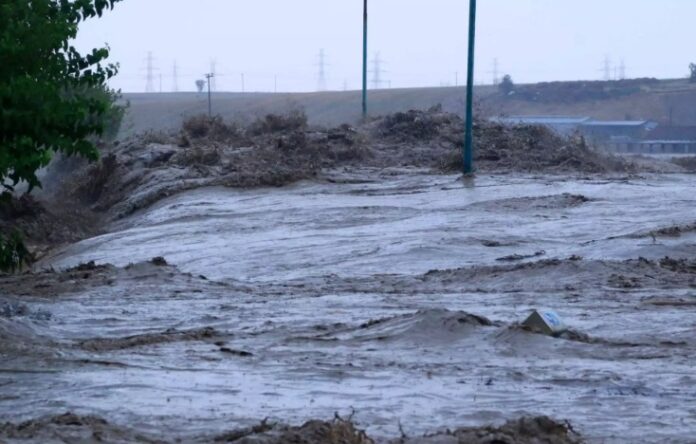 373082091_317185634178625_656558069476055599_n