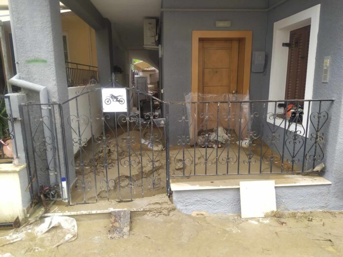 380287421_647975857473420_471600388003315302_n