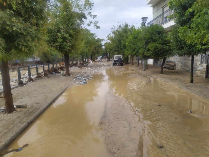 382522846_332329902597078_5467275180997448122_n