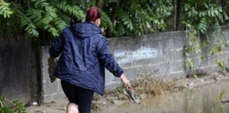 Ζιακόπουλος: «Τρόμαξα όταν είδα τα προγνωστικά-Ευχόμαστε να αντέξει ο κάμπος»