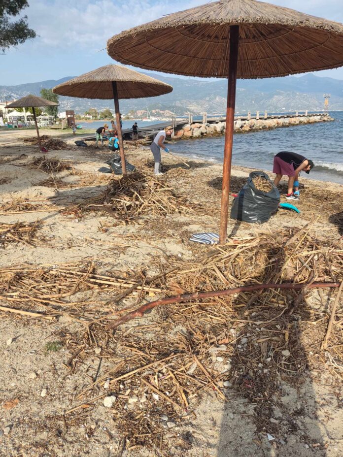 Αλυκές καθάρισμα 4