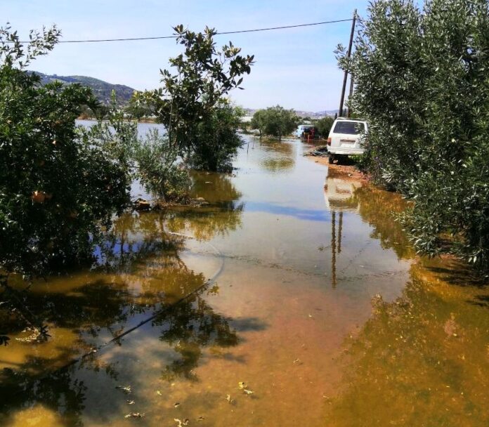 ΠΑΠΑΠΕΤΡΟΣ ΔΙΜΗΝΙ