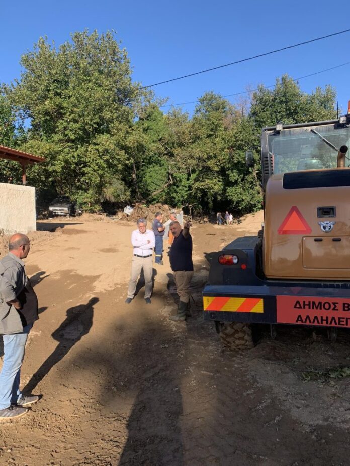 μιτζικος-ζευκλής-782x1043