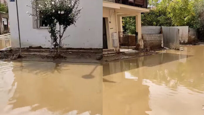 νερα 2