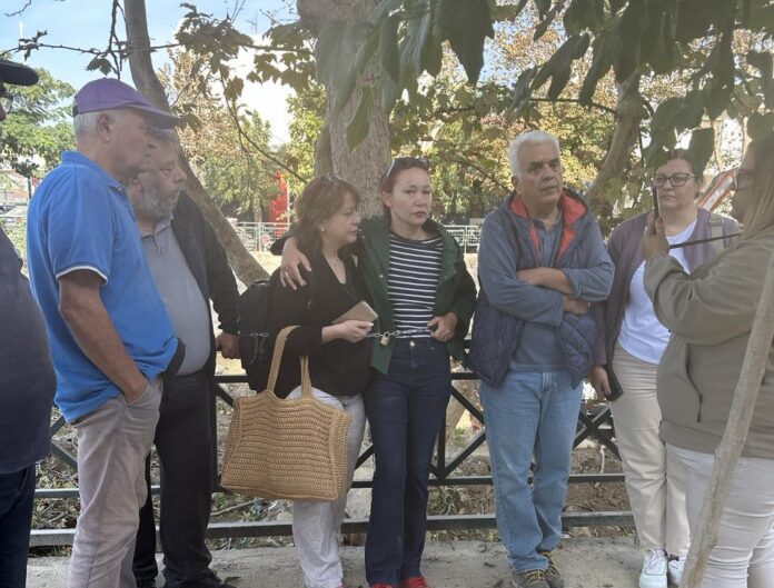 ΚΡΑΥΣΙΔΩΝΑΣ ΔΕΝΤΡΑ 5