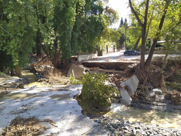 379652399_1255590515147349_4150353527967688299_n